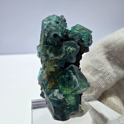 Cube de fluorite fantôme, spécimen de tourmaline Schorl, Erongo, Namibie, 34 x 27 x 22 mm 