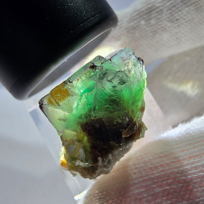Cube de fluorite fantôme zonal, spécimen de muscovite, Erongo, Namibie, 28 x 23 x 16 mm 