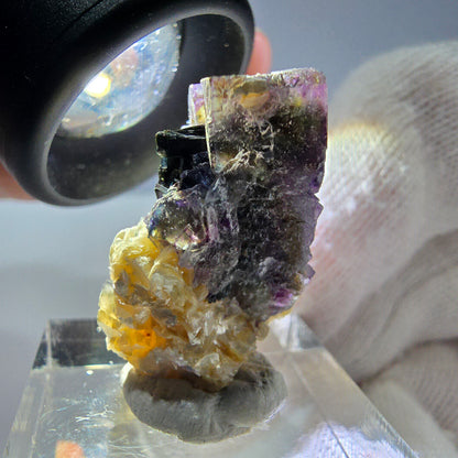 Spécimen de fluorite fantôme colorée, tourmaline scholle, muscovite, Erongo, Namibie, 25 x 22 x 14 mm 