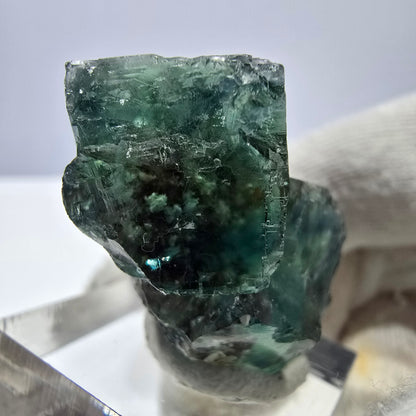 Spécimen de cube de fluorite fantôme parqueté vert turquoise Okorusu, Namibie 37*32*22mm 
