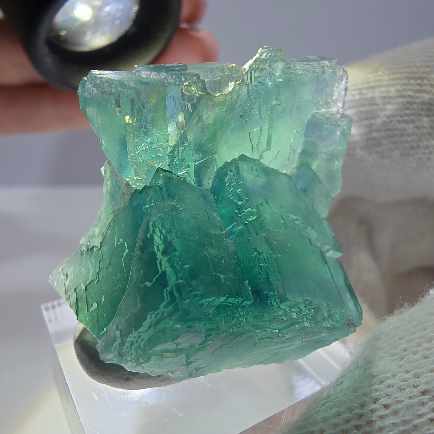 Spécimen de cube de fluorite fantôme parqueté vert turquoise Okorusu, Namibie 41*35*22mm 