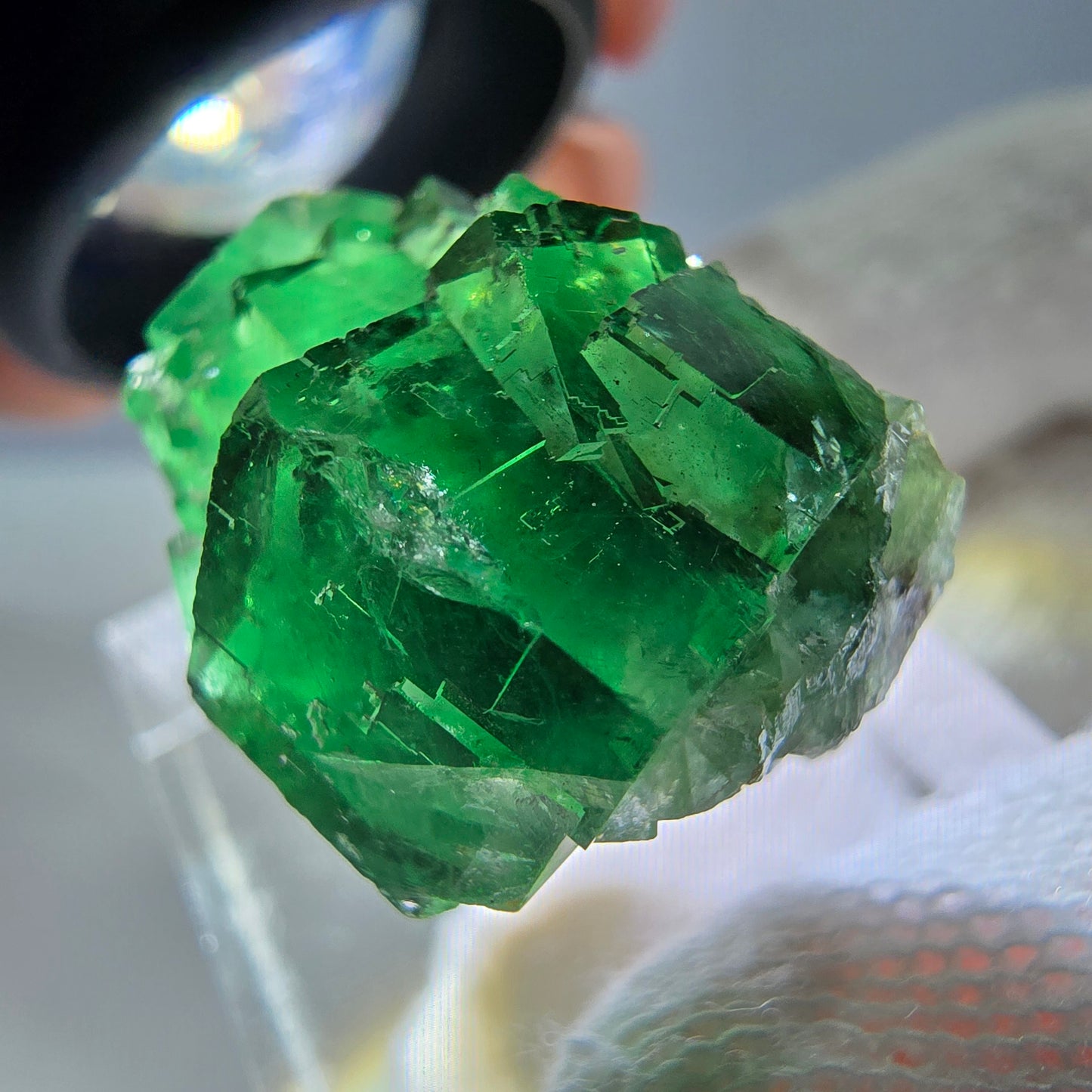 Cube de fluorite fantôme parqueté, vert Okorusu, Namibie 25*21*16mm 