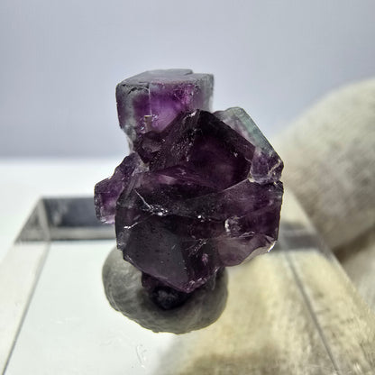 Spécimen de cube de fluorite fantôme, violet-vert, Okorusu, Namibie, 17 x 11 x 12 mm 