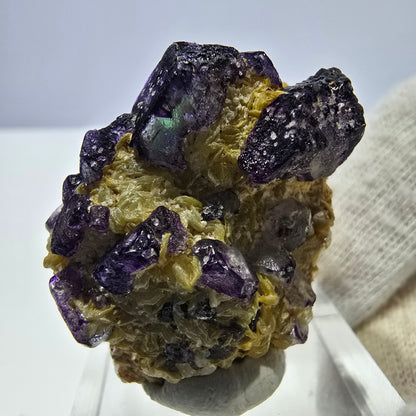 Cube de fluorite fantôme zonal, spécimen de muscovite, Erongo, Namibie, 35 x 26 x 13 mm 