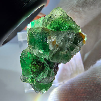 Cube de fluorite fantôme, spécimen de muscovite, Erongo, Namibie, 30 x 23 x 21 mm 