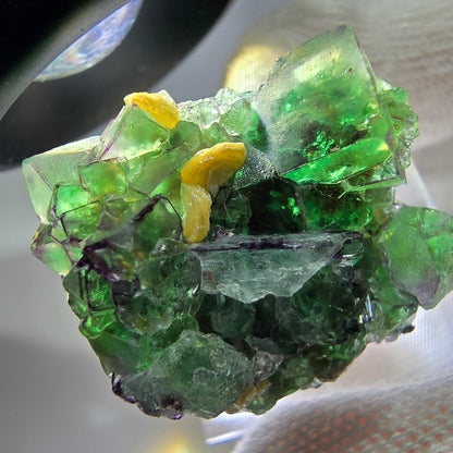 Spécimen de cube de fluorite fantôme zonal, de muscovite et de tourmaline Schorl, Erongo, Namibie, 27 x 25 x 24 mm 