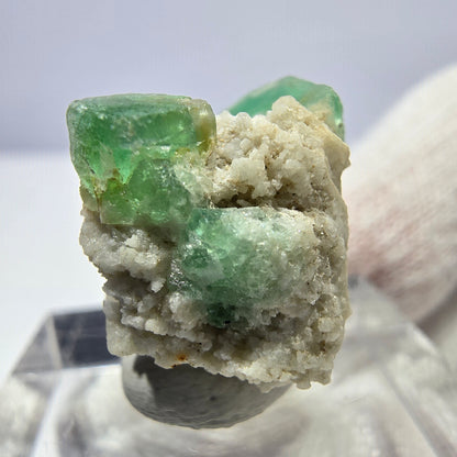 Spécimen de tourmaline Schorl et d'orthose cubique de fluorite fantôme, Erongo, Namibie, 20 x 17 x 16 mm 