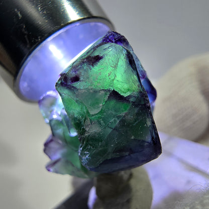 Fluorite fantôme zonale, muscovite, tourmaline Schörl, quartz fumé Erongo, Namibie 27*20*17 mm 