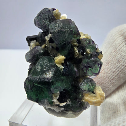 Cube de fluorite fantôme hexagonal, muscovite, tourmaline Schörl Erongo, Namibie 41*28*21mm 