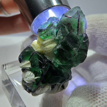Fluorite fantôme zonale, muscovite, tourmaline Schörl, quartz fumé Erongo, Namibie 31*18*13mm 