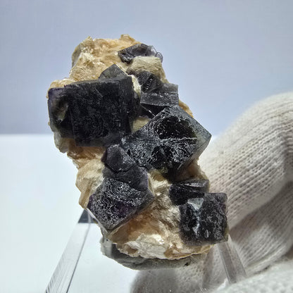 Cubes de fluorite fantôme colorés, spécimen de muscovite, Erongo, Namibie, 43 x 23 x 21 mm 