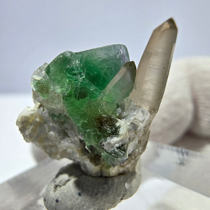 Cube de fluorite fantôme zonal, quartz fumé, spécimen de muscovite, Erongo, Namibie, 19 x 15 x 12 mm 