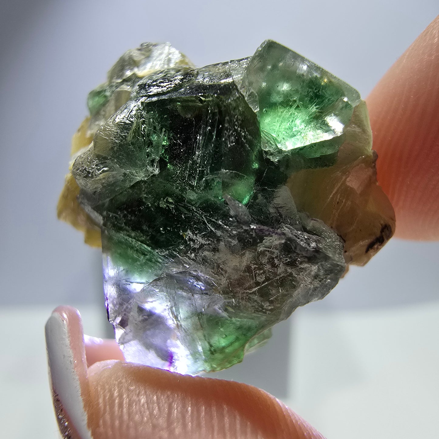 Lot de 16 Fluorite Fantôme, Hyalite Tourmaline Schörl Moscovite Steps Erongo, Namibie 