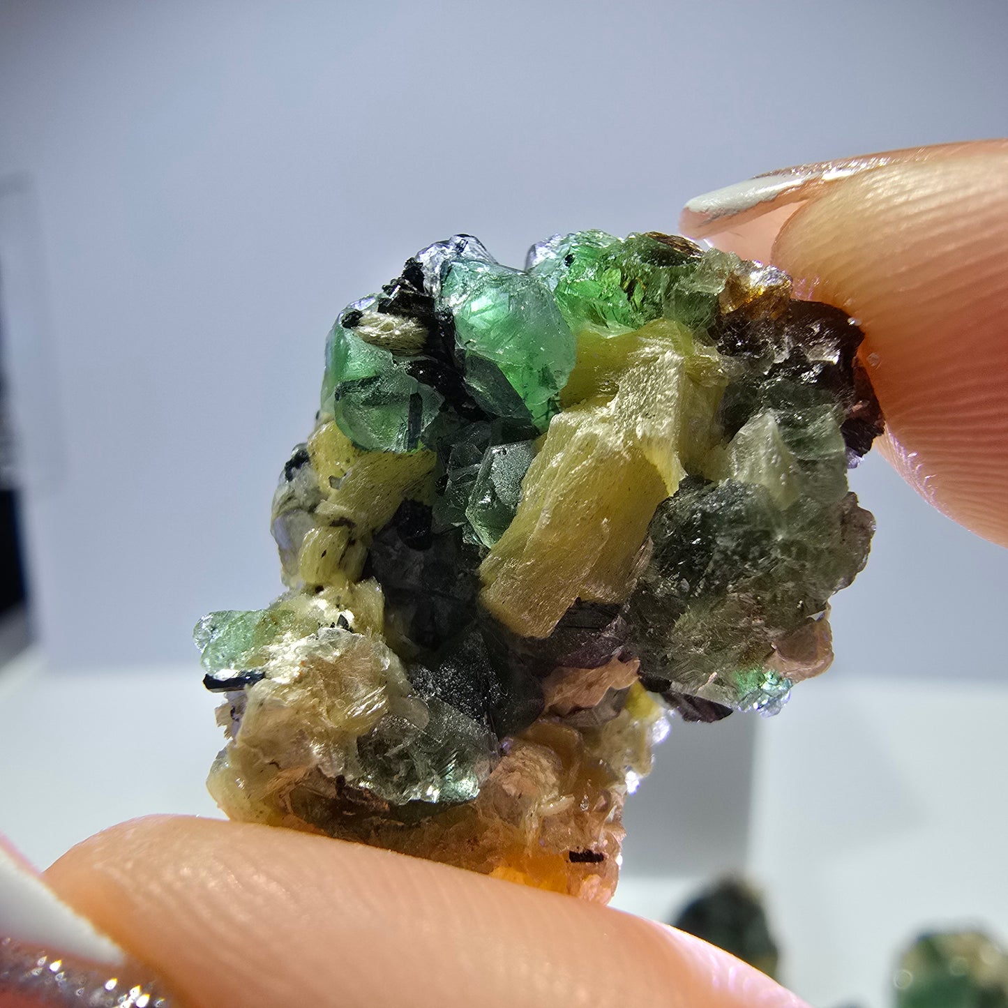Lot de 16 fluorites fantômes, hyalites, tourmalines Schörl, muscovites, marches d'Erongo, Namibie 