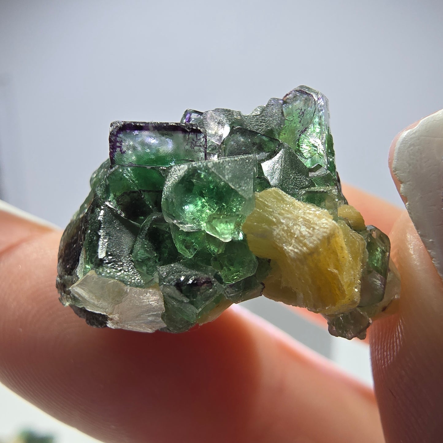 Lot de 16 fluorites fantômes, hyalites, tourmalines Schörl, muscovites, marches d'Erongo, Namibie 