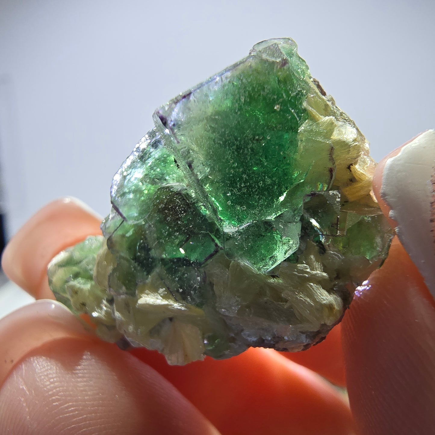 Lot de 16 fluorites fantômes, hyalites, tourmalines Schörl, muscovites, marches d'Erongo, Namibie 