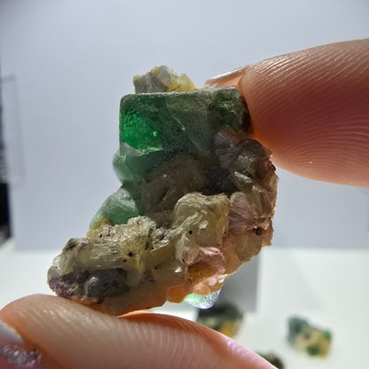 Lot de 16 tourmalines Schörl, fluorite fantôme, hyalite, stade muscovite, Erongo, Namibie 
