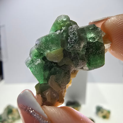 Lot de 16 tourmalines Schörl, fluorite fantôme, hyalite, stade muscovite, Erongo, Namibie 