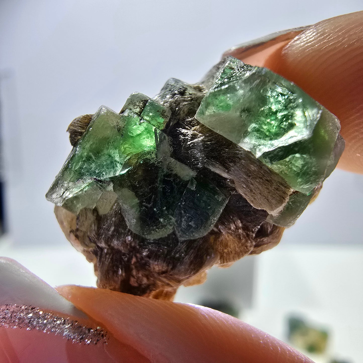 Lot de 16 tourmalines Schörl, fluorite fantôme, hyalite, stade muscovite, Erongo, Namibie 
