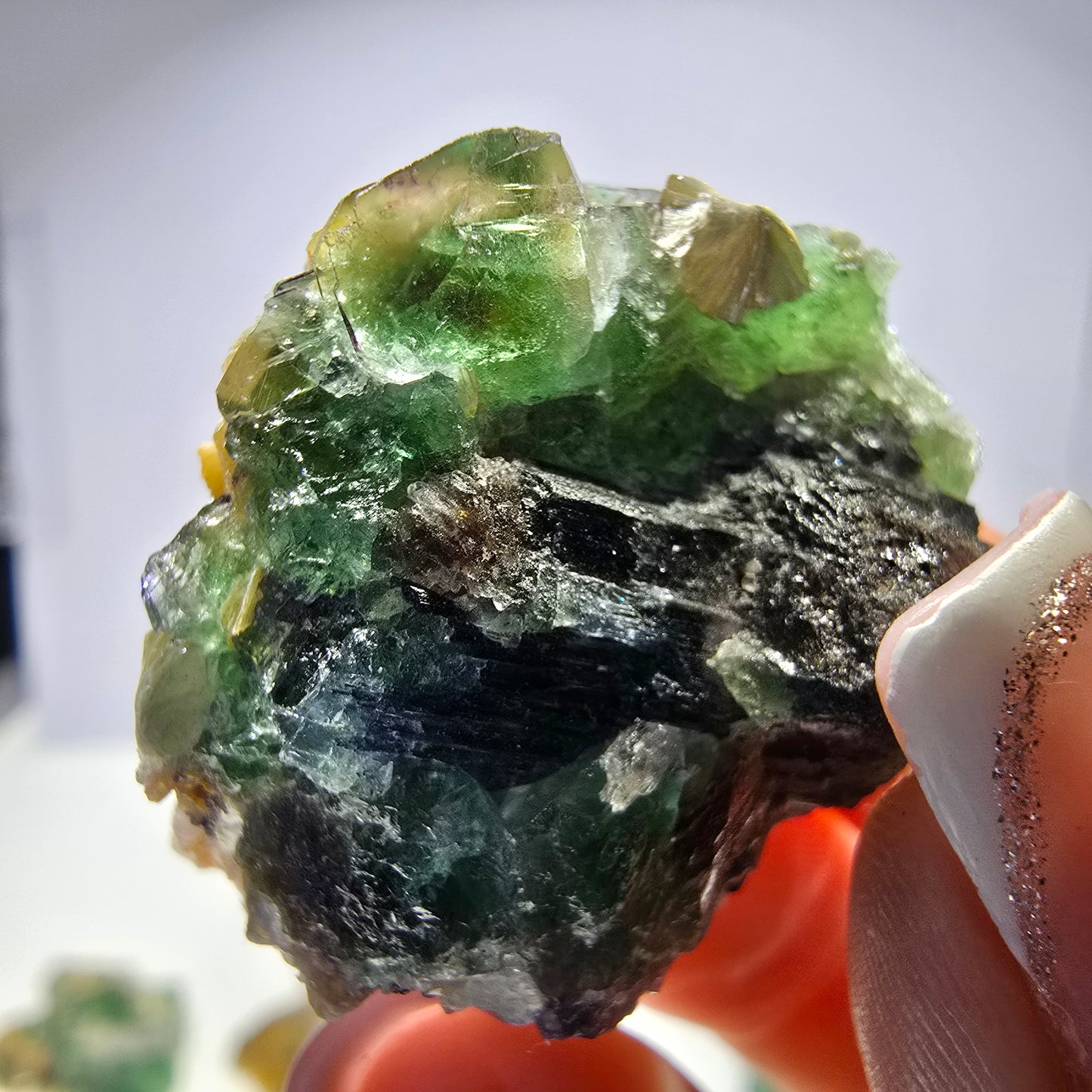 Lot de 16 tourmalines Schörl, fluorite fantôme, hyalite, stade muscovite, Erongo, Namibie 
