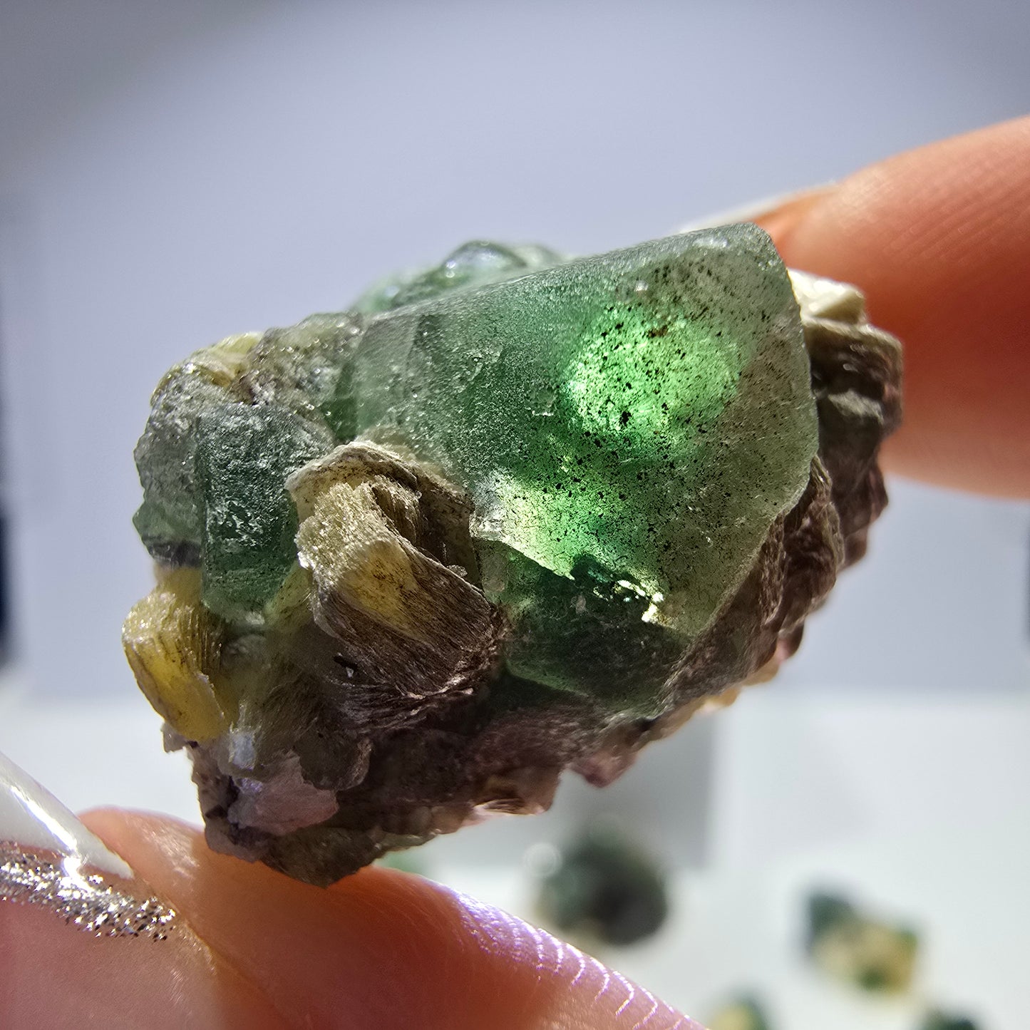 Lot de 16 tourmalines Schörl, fluorite fantôme, hyalite, stade muscovite, Erongo, Namibie 