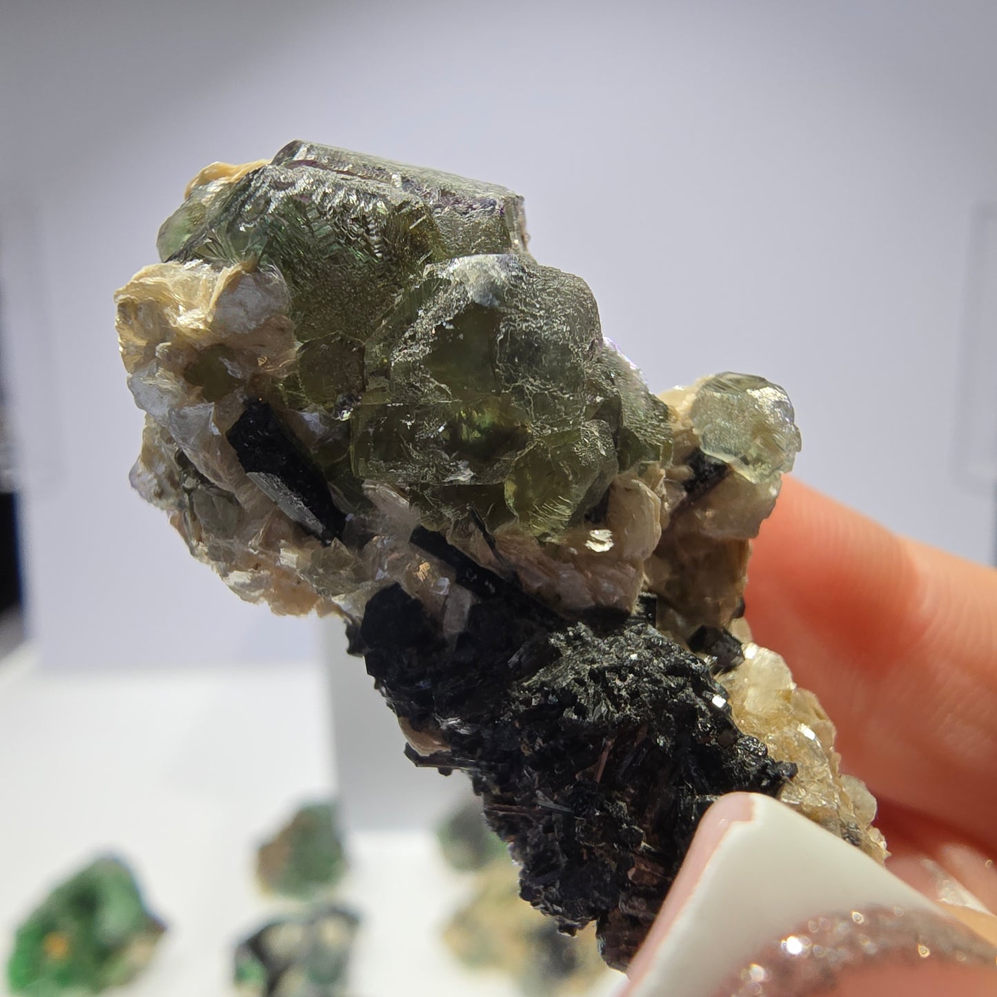 Lot de 16 fluorites fantômes, hyalites, tourmalines Schörl, muscovites, Erongo, Namibie