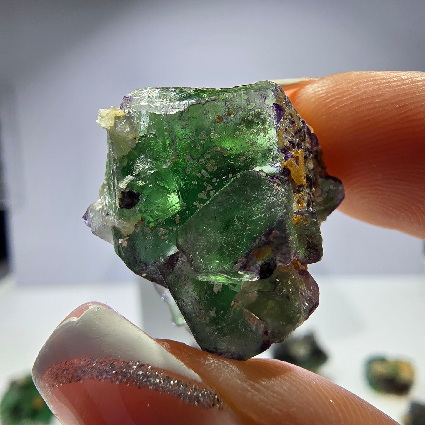 Lot de 16 fluorites fantômes, hyalites, tourmalines Schörl, muscovites, Erongo, Namibie