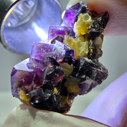 Cubes de fluorite fantôme colorés, spécimen de muscovite, Erongo, Namibie, 27 x 16 x 13 mm 