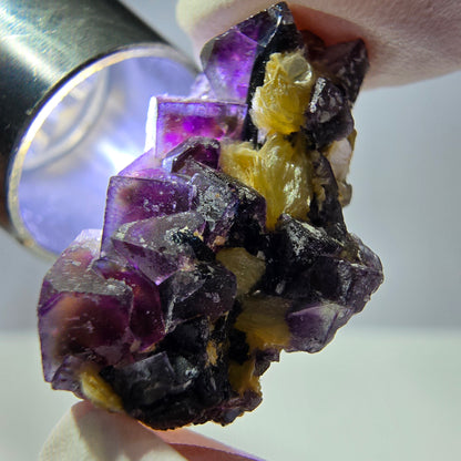 Cubes de fluorite fantôme colorés, spécimen de muscovite, Erongo, Namibie, 27 x 16 x 13 mm 