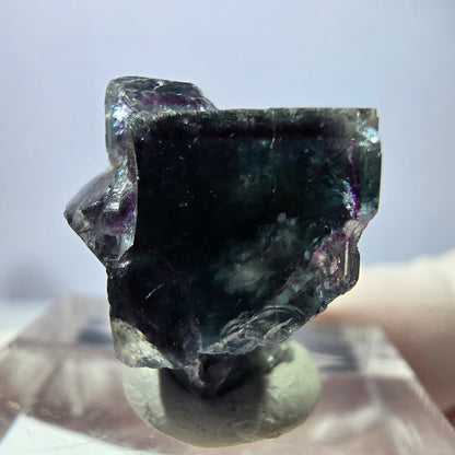 Spécimen de cube de fluorite fantôme, vert violet, Okorusu, Namibie, 18 x 14 x 12 mm 