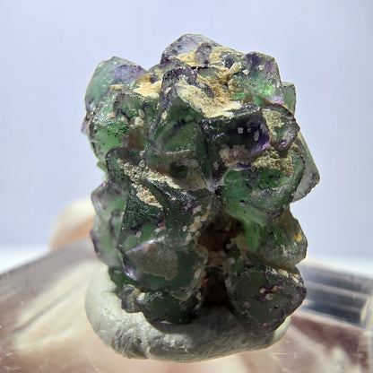 Cube de fluorite fantôme, zonal, spécimen de tourmaline Schorl, Erongo, Namibie, 18 x 15 x 15 mm 