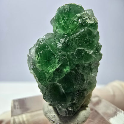 Cube de fluorite fantôme, muscovite et tourmaline Schorl, spécimen d'Erongo, Namibie, 29 x 19 x 17 mm 