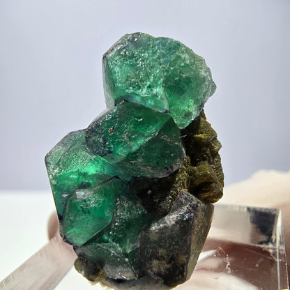 Cube hexagonal de fluorite fantôme, muscovite, tourmaline Schörl, Erongo, Namibie, 26 x 20 x 14 mm 