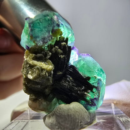 Cube hexagonal de fluorite fantôme, muscovite, tourmaline Schörl, Erongo, Namibie, 26 x 20 x 14 mm 