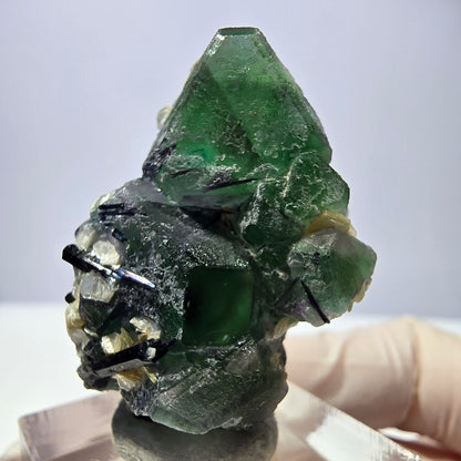 Cube de fluorite fantôme hexagonal, muscovite, tourmaline Schörl Erongo, Namibie 39*25*21mm 