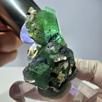 Cube de fluorite fantôme hexagonal, muscovite, tourmaline Schörl Erongo, Namibie 39*25*21mm 