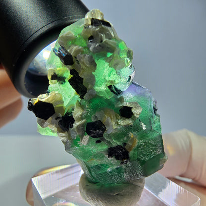 Cube de fluorite fantôme hexagonal, muscovite, tourmaline Schörl Erongo, Namibie 39*25*21mm 