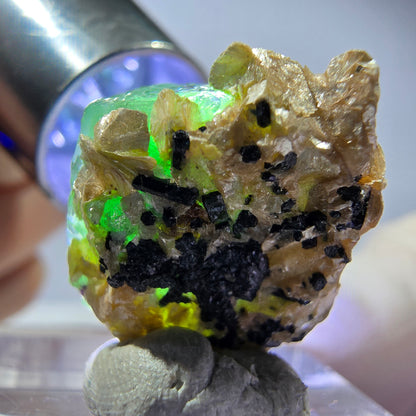Cube hexagonal de fluorite fantôme, muscovite, tourmaline Schörl, Erongo, Namibie, 20 x 17 x 13 mm 