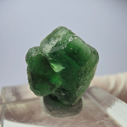 Cube hexagonal de fluorite fantôme, muscovite, tourmaline Schörl, Erongo, Namibie, 14 x 14 x 14 mm 