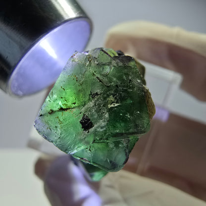Cube de fluorite fantôme, zonal, muscovite, spécimen de tourmaline Schorl, Erongo, Namibie, 30 x 25 x 15 mm 