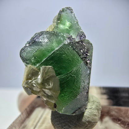 Cube de fluorite fantôme, muscovite et tourmaline Schorl, spécimen d'Erongo, Namibie, 18 x 14 x 13 mm 