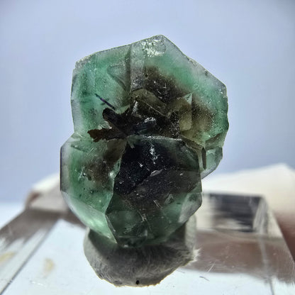 Cube hexagonal de fluorite fantôme, tourmaline Schorl d'Erongo, Namibie 17 x 13 x 12 mm 