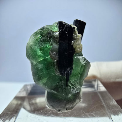 Cube hexagonal de fluorite fantôme, muscovite, tourmaline Schörl, Erongo, Namibie, 22 x 17 x 12 mm