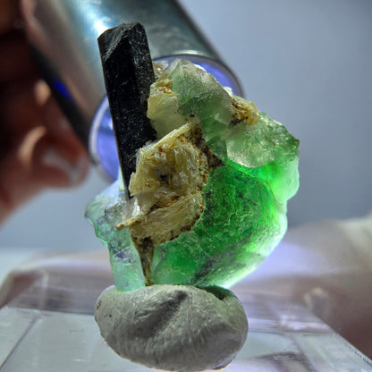 Cube hexagonal de fluorite fantôme, muscovite, tourmaline Schörl, Erongo, Namibie, 22 x 17 x 12 mm