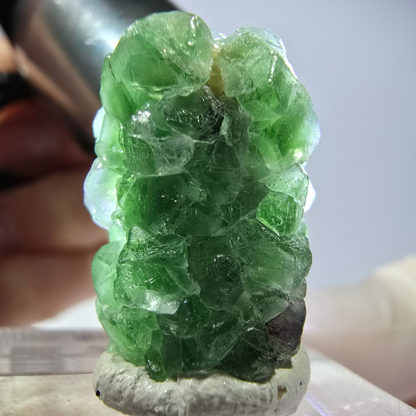 Cube de fluorite fantôme, spécimen de tourmaline Schorl, Erongo, Namibie, 24 x 17 x 16 mm 