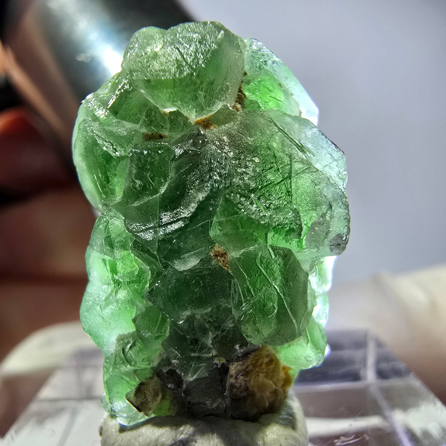 Cube de fluorite fantôme, spécimen de tourmaline Schorl, Erongo, Namibie, 24 x 17 x 16 mm 