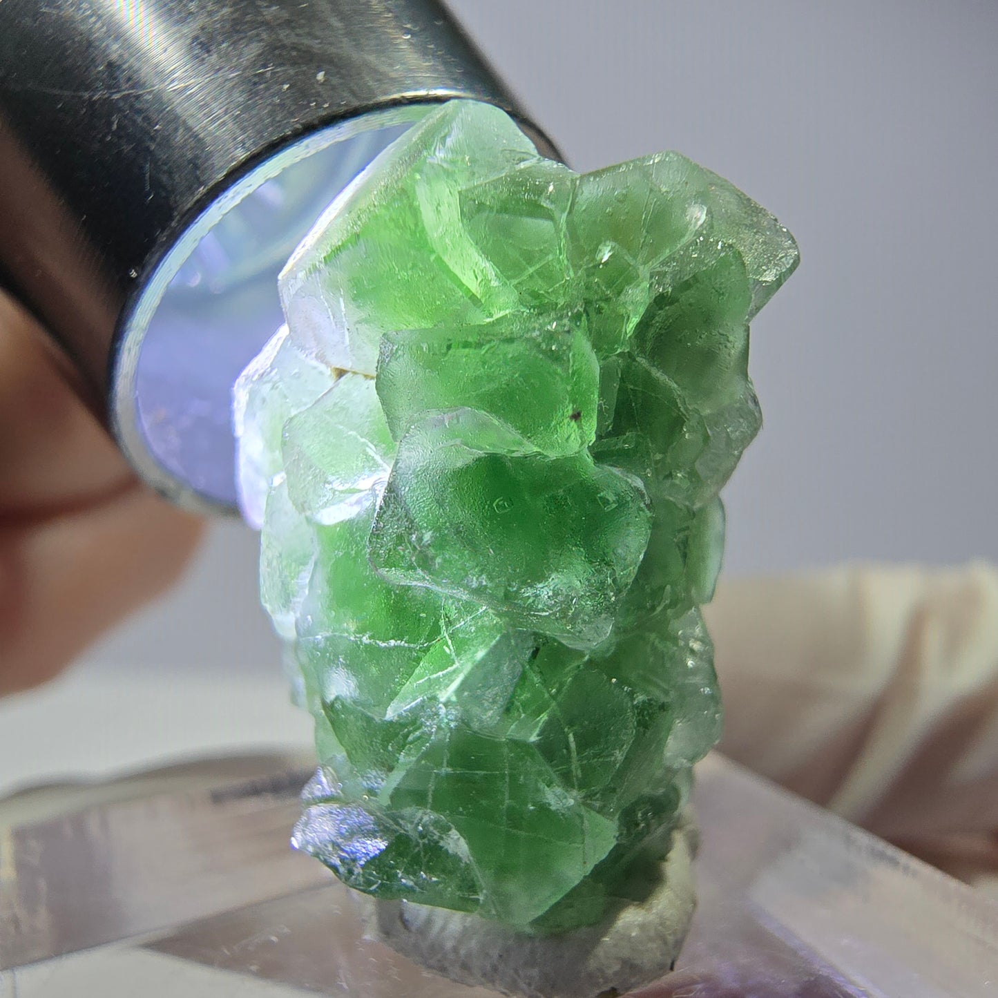 Cube de fluorite fantôme, spécimen de tourmaline Schorl, Erongo, Namibie, 24 x 17 x 16 mm 