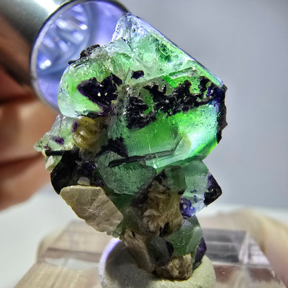 Cube de fluorite fantôme, zonal, muscovite, spécimen de tourmaline Schorl, Erongo, Namibie, 29 x 21 x 14 mm 