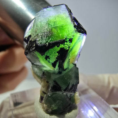 Cube de fluorite fantôme, zonal, muscovite, spécimen de tourmaline Schorl, Erongo, Namibie, 29 x 21 x 14 mm 