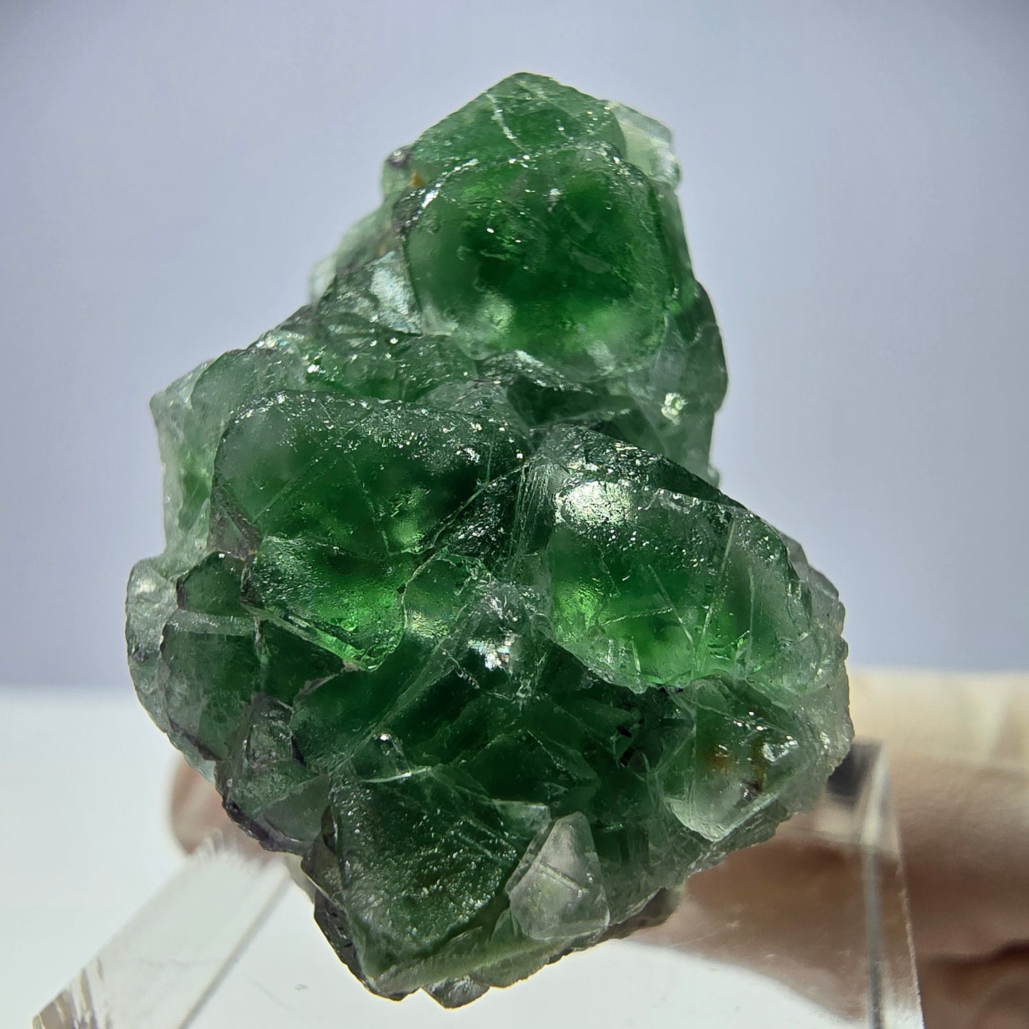 Cube de fluorite fantôme, tourmaline Schorl, Erongo, Namibie, 35 x 23 x 23 mm 